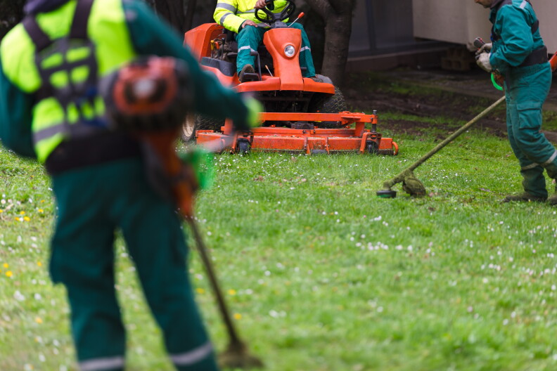 Eastern Shore Program Gains Recognition for Forestry Employment Assistance
