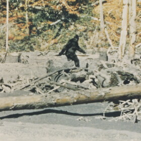 A grainy picture of a hairy creature walking through a forest.