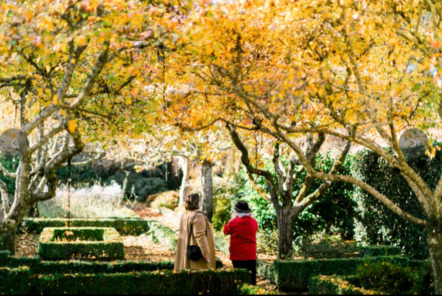 Parterre Garden in Fall.
