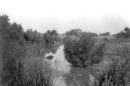 The Panama Slough south of Bakersfield, circa 1890.