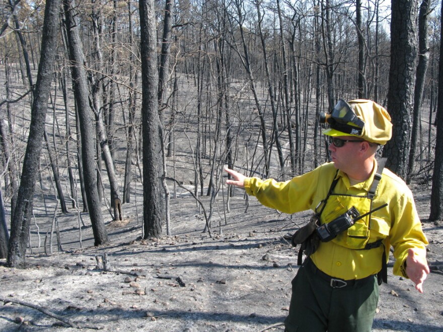 Superintendent Todd McClanahan surveys what remains of Bastrop State Park. "It hurts," he says.