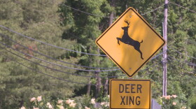 The dates for hunts are Nov. 16-17 and Nov. 30-Dec. 1. (WFIU/WTIU News)