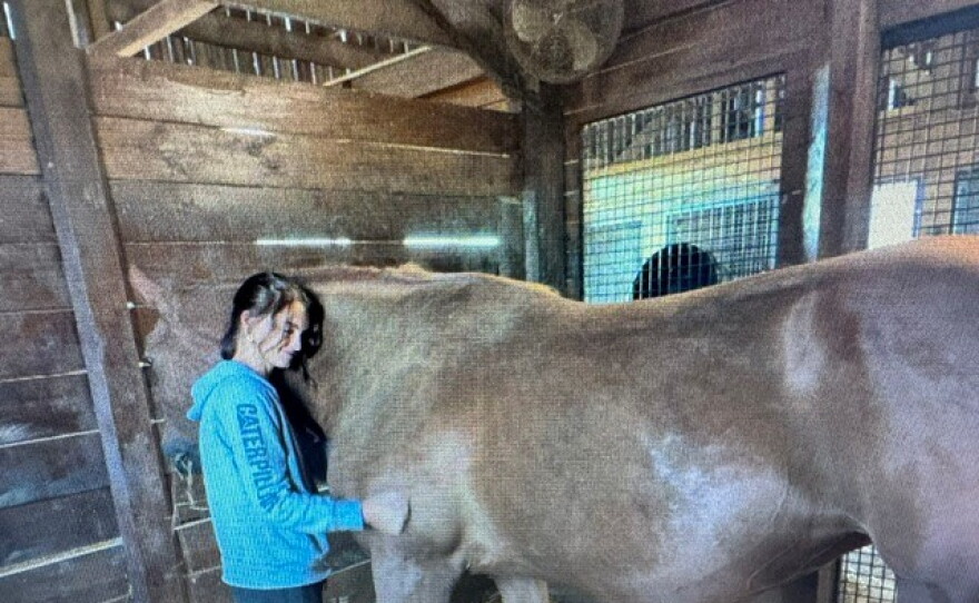 Lyndis Olson believes Stable Recovery saved her life.