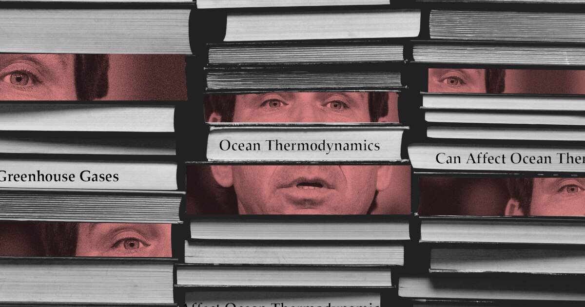 Photo: wusf.org Image of stacked books with Governor Ron DeSantis' face throughout and words typed onto the book paper saying things like