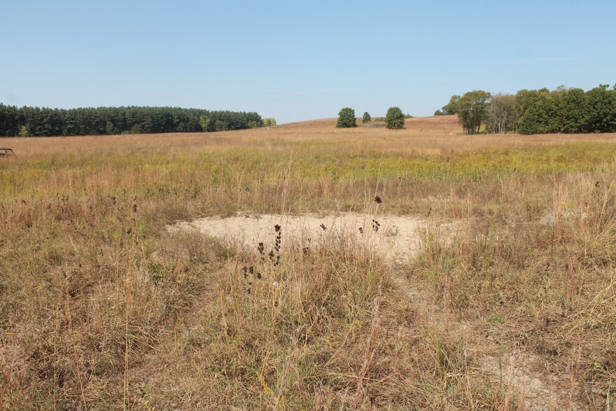 A bison wallow.