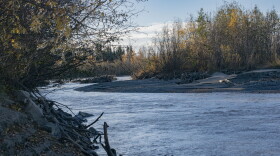 A side channel of the Tanana River flowing over a floodplain on Sept. 27, 2026.
