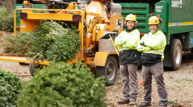 'TreeCycle' is being held at the Delaware Center for Horticulture on January 4 from 9am-2pm.