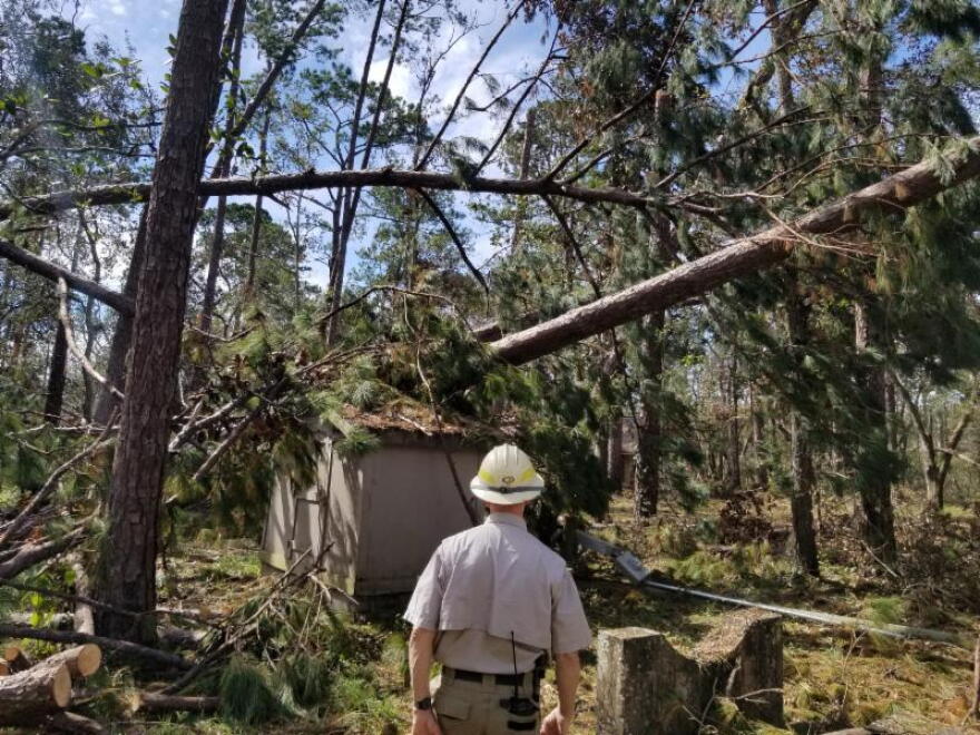 Just some of the devastation wrought by Hurricane Michael on North Florida's forests.