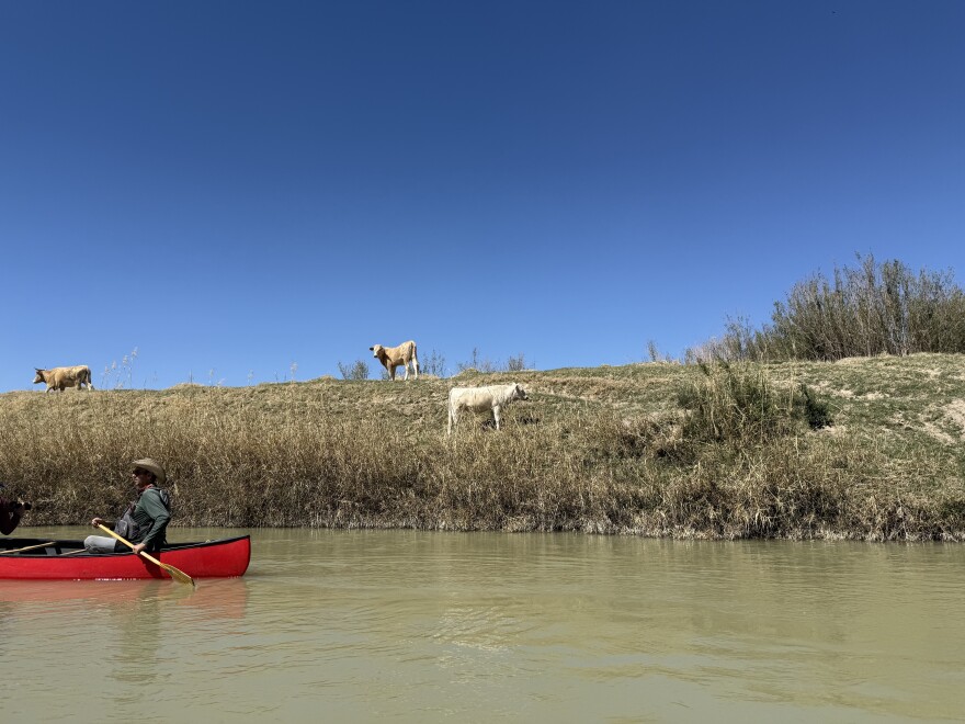 Photo by Zoe Kurland