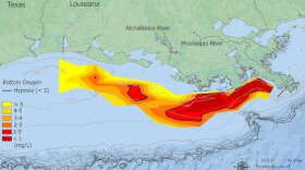 The hypoxic zone measurement was made during an annual survey cruise in late July. (via: NOAA)