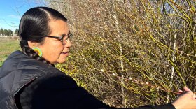 A woman in a black top and vest holds her hand out. She is gripping a small branch. She is standing in front of a mini-forest.