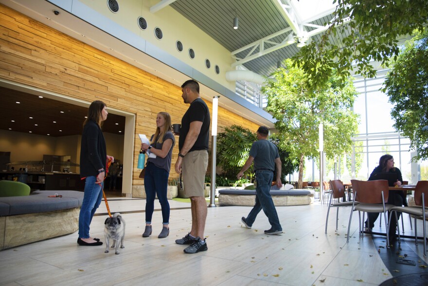 Emily Forrester (left), vice president of human resources for Workiva, chats with a colleague and new summer intern. Forrester oversees much of the company headquarters' general hiring, including more than 80 interns each year.