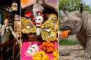 (From left) Street Alive at the Milwaukee Public Museum, Dia de Los Muertos at Walker’s Point Center for the Arts and Boo at the Zoo.