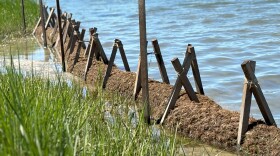 The start of the mussel-based living shoreline at a property on the Lynnhaven River in Virginia Beach.