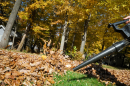Leaf blowers are loud, and they pollute the air, but state law doesn't allow communities to ban them.