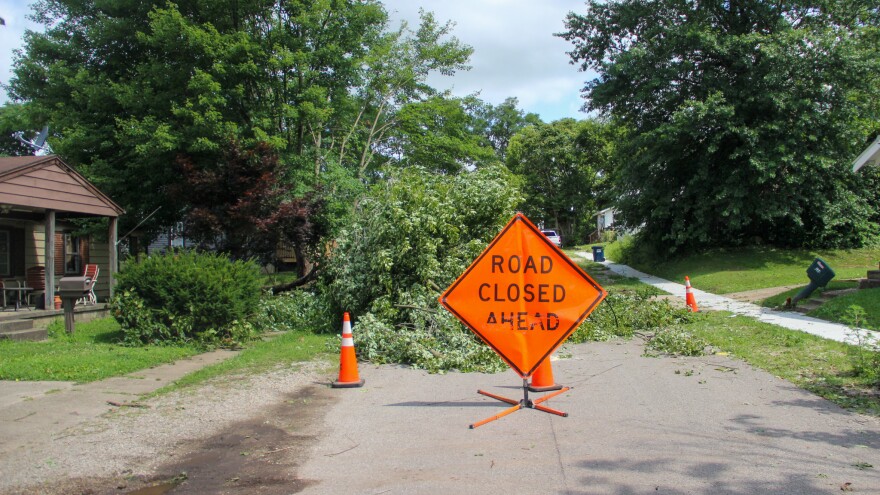 A road closed sign sits in front of tree branches in a road. 