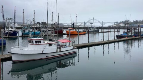 Newport's Dock 5 is home to one of the state's largest commercial fishing fleets, pictured here on May 2, 2025.