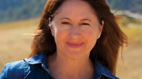 Ellie Gilbreath is running to represent Idaho's 2nd Congressional District against incumbent Rep. Mike Simpson.