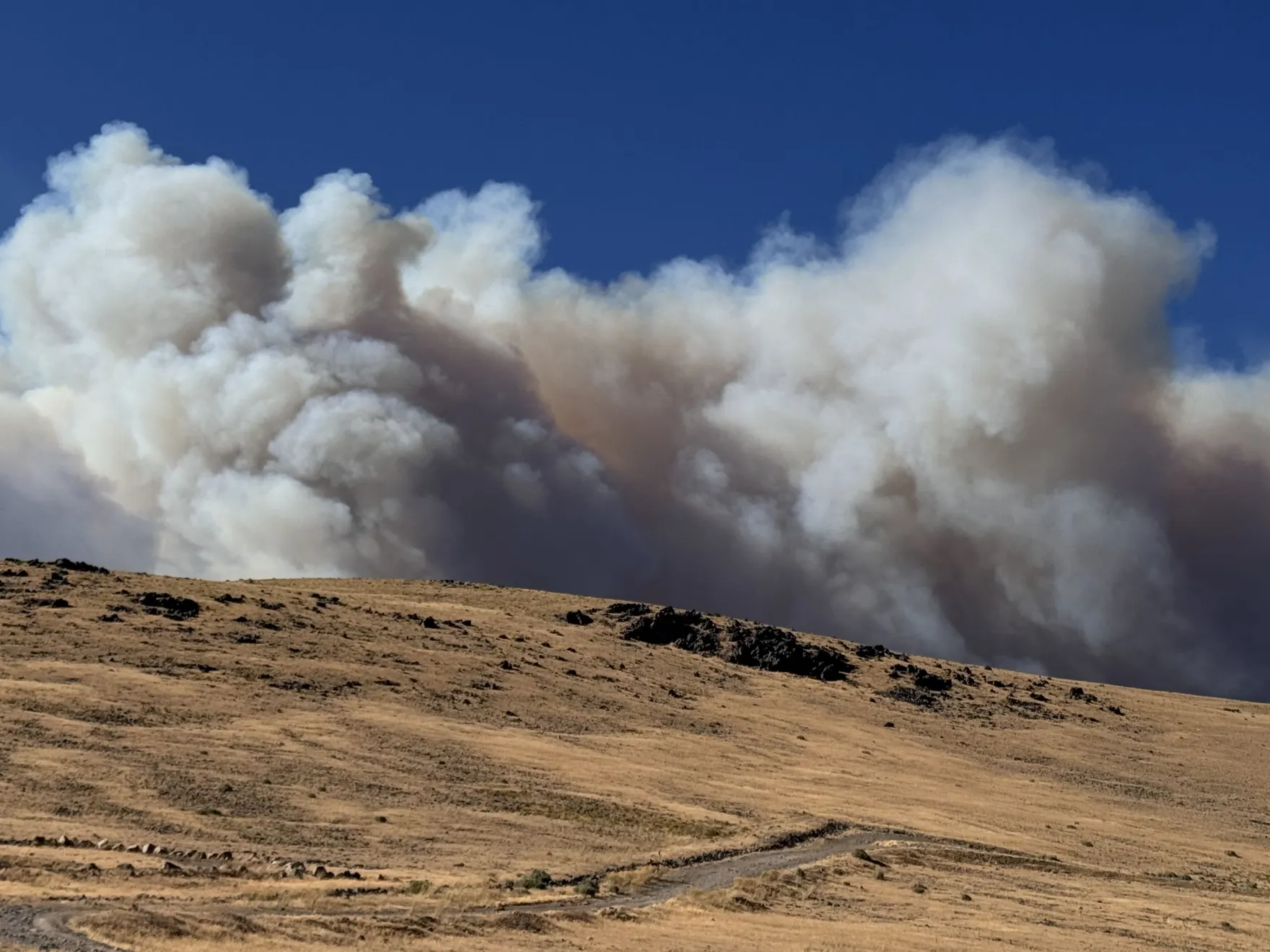 Properties damaged by wildfires can pose health and safety risks