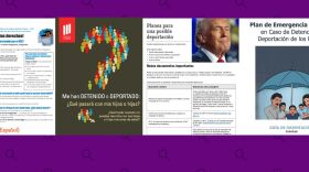 Cómo prepararte ante una detención o deportación y cómo proteger a tus hijos y tus bienes en Estados Unidos