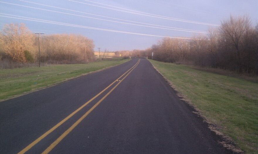 The sides of Texas roadways can serve as a feeding station for wildlife, such as deer.