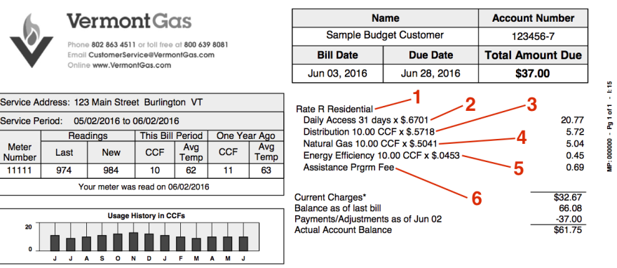 vt gas bill pay