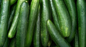Cucumber Raw fruit and vegetable backgrounds overhead perspective, part of a set collection of healthy organic fresh produce