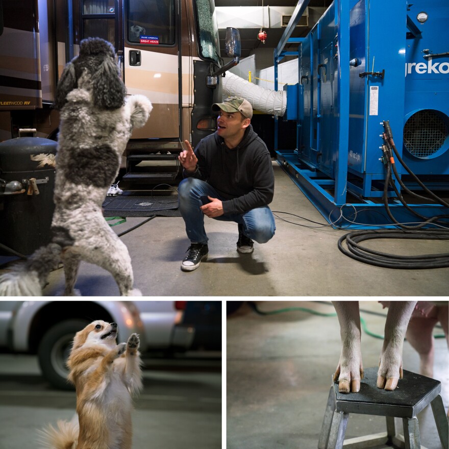 Hans Klose trains poodles, terriers and a 700-pound pig named Roscoe to perform in the circus.