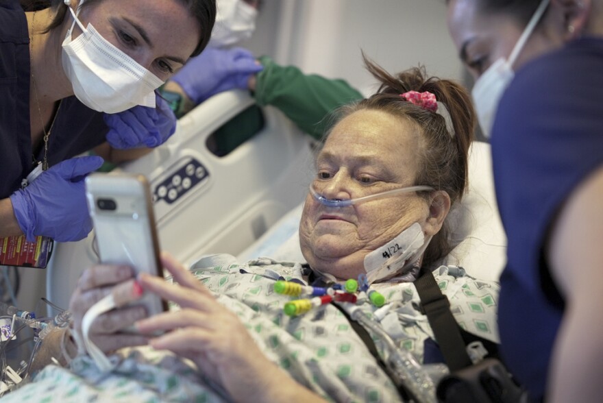 Lisa Pisano looks at photos of her dog after her surgeries at NYU Langone Health in New York on Monday, April 22, 2024. Pisano, who received a pig kidney transplant -- along with an implanted device to keep her heart beating – has died, her surgeon announced Tuesday, July 9, 2024. She was near death from dual kidney and heart failure when surgeons at NYU Langone Health performed the dramatic pair of surgeries.