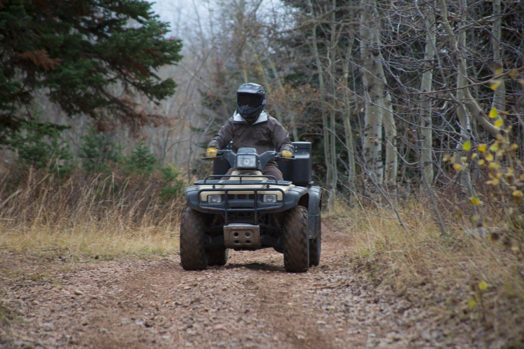 More e-bikes and ATVs could be allowed in national forests under a federal proposal