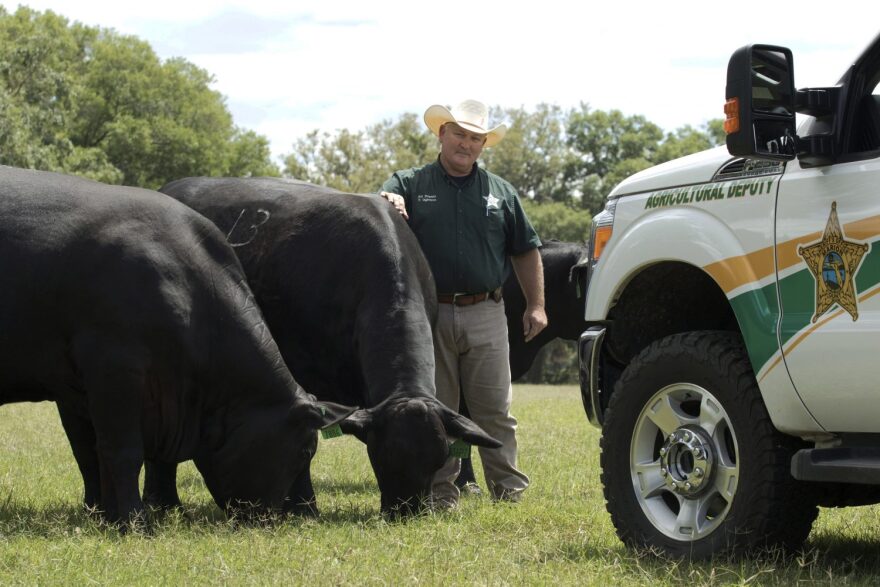 Marion County Sheriff's Office Cpl. Tim Ogletree will now work full time on handling agricultural issues, such as assisting with missing or loose livestock and investigating stolen farm equipment. (Photo courtesy Marion County Sheriff's Office)