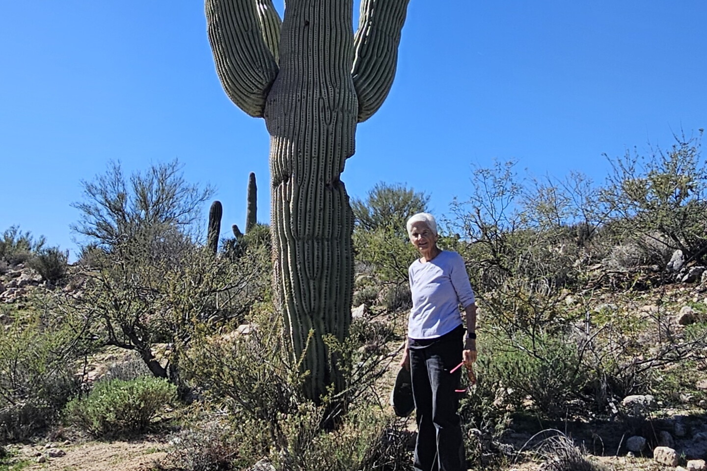 older woman with white hair stands next to monstrous saguaro cactus in the middle of a desert landscape