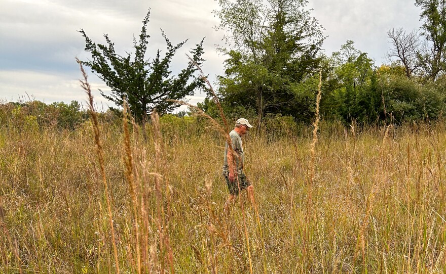 Rod Tondreau searches for seeds to collect in the Western Iowa Tech prairie.