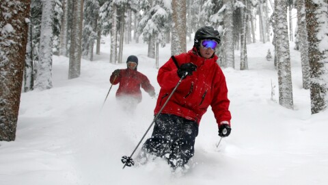 Two people in red jackets and ski gear ski through deep snow and between trees.
