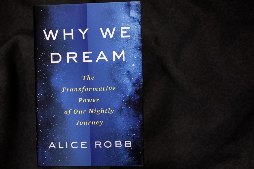 "Why We Dream — The Transformative Power Of Our Nightly Journey," by Alice Robb. (Robin Lubbock/WBUR)