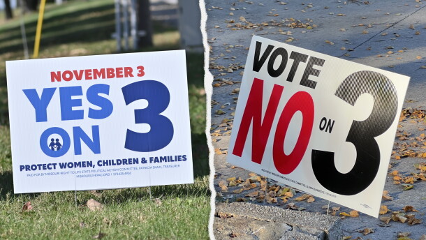 Two separate images, side by side. Each shows a yard sign. One on left reads "Yes on 3." The one on right reads "Vote No on 3."