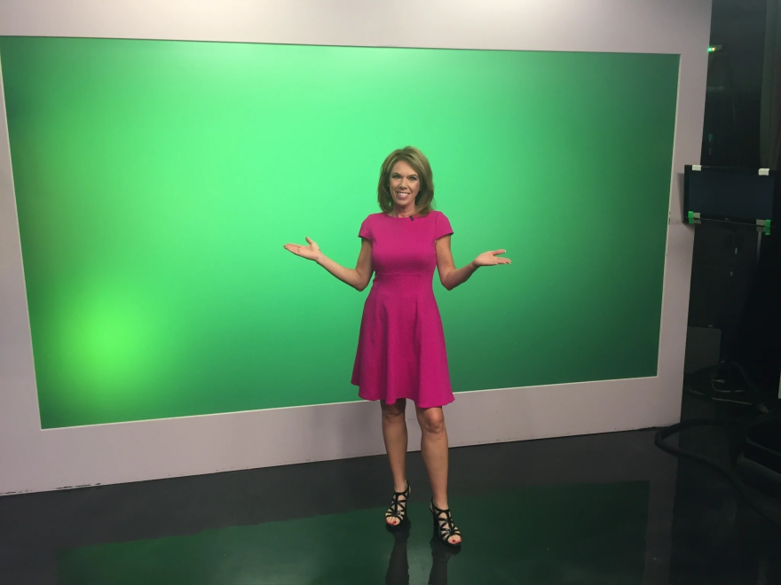 Terri DeBoer stands in a dress in front of a green screen on a  TV set.