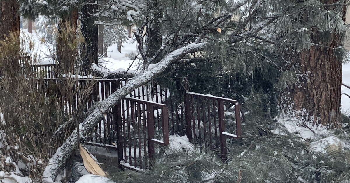 Ruidoso reports power outages, downed trees and power lines | KRWG ...