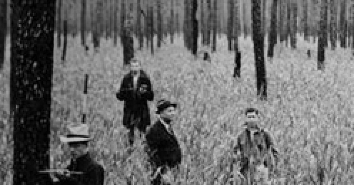 Fight Over Hofmann Forest Not Over Yet WUNC