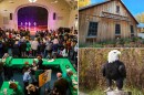 (Clockwise from left) Irish Family Day at Celtic MKE Center, Sugarbush House at Riveredge Nature Center and one of Schlitz Audubon Nature Center's resident raptors.