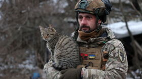 Ukrainian anti-aircraft gunner of the 93rd Separate Mechanized Brigade Kholodny Yar holds a cat from his position in the direction of Bakhmut in the Donetsk region, amid the Russian invasion of Ukraine.