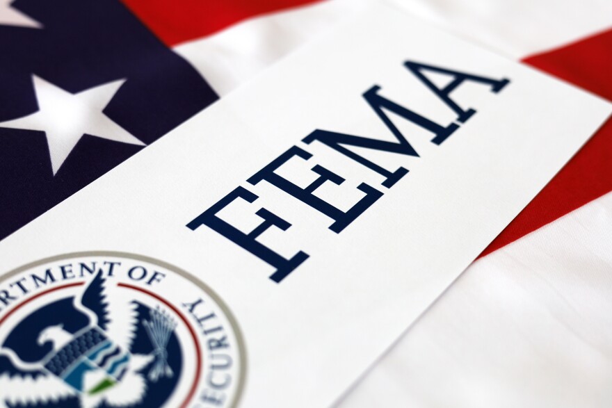 Logo FEMA with United State of America flag, USA