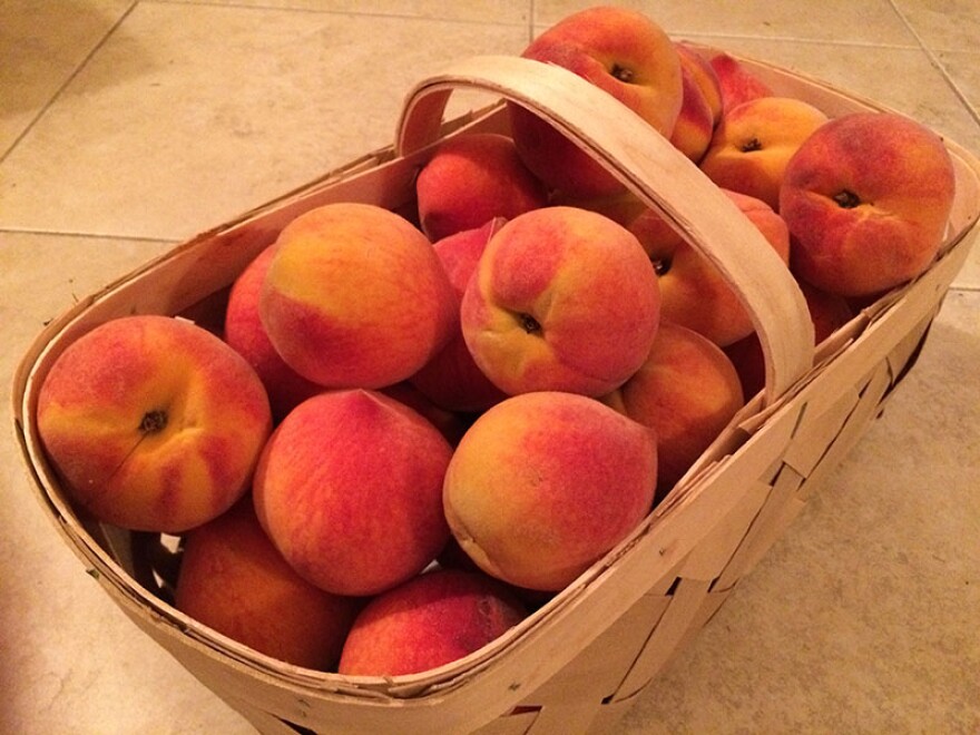 Sweet, delicious South Carolina peaches are as good as it gets in the summer.