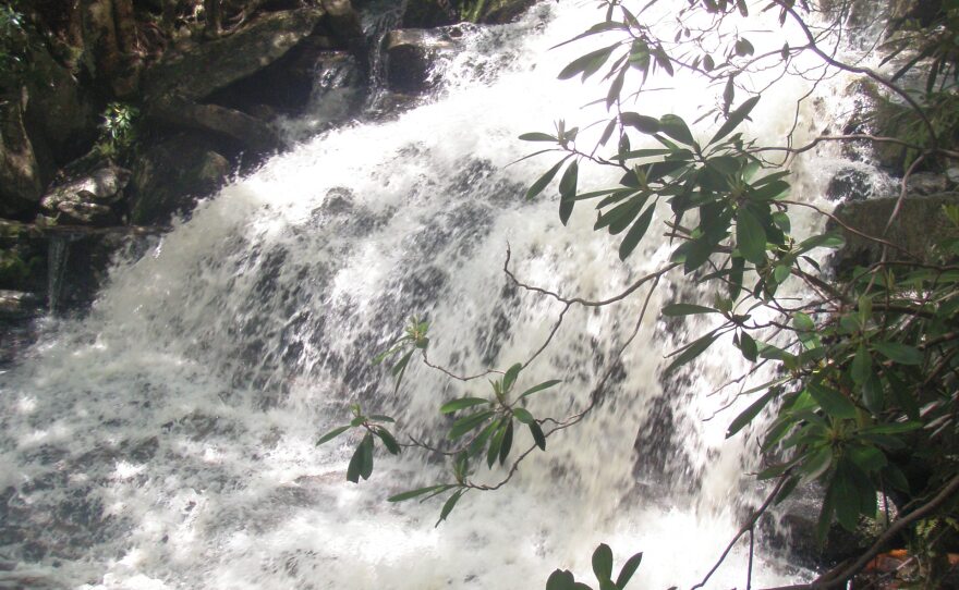 Pictures from Dolly Sods Wilderness in West Virginia, which partially inspired Null for his book