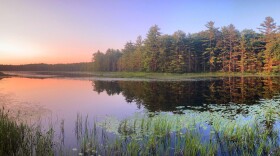 The Ten-Mile River Forest is a 9,400 acre forest in the southern Catskills in Sullivan County. It's one of several "working forests" the Conservation Fund is protecting through its Working Forest Fund.