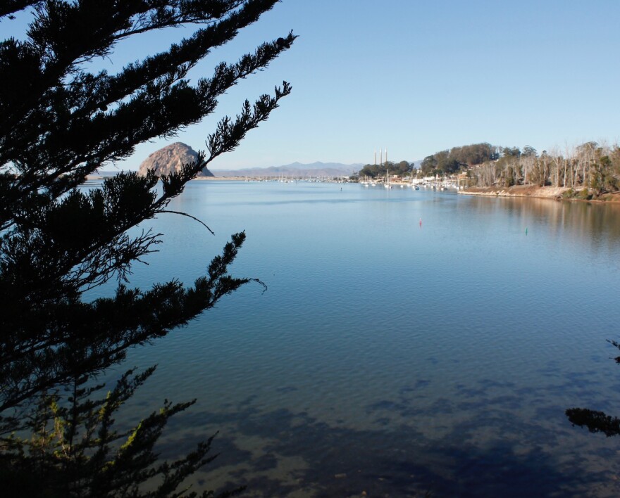 Morro Bay Estuary with 24 million year-old Morro Rock in the distance viewed from the Morro Bay State Park Natural History museum.