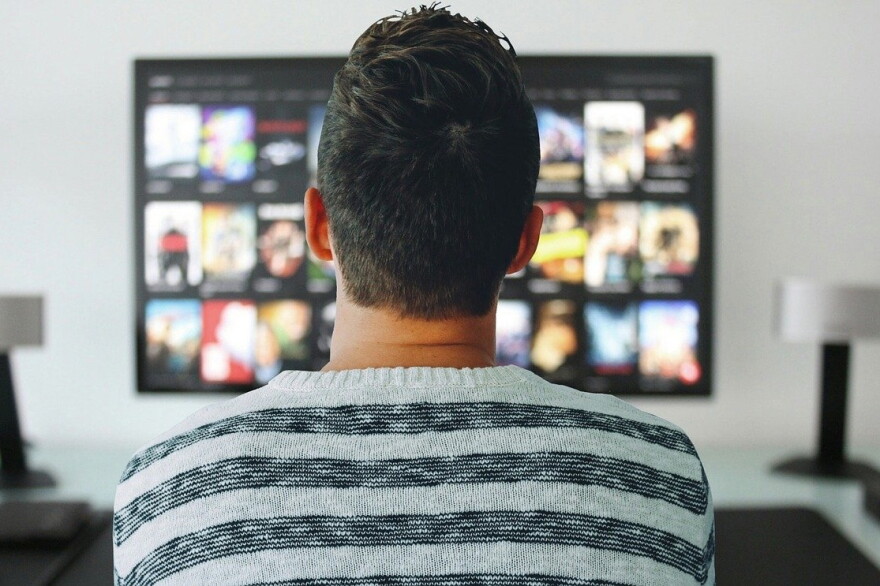 The lawsuit demands the companies — Netflix, Disney, Hulu, DirectTV and Dish Network — be required to pay unpaid fees for past services and all future fees required by law.