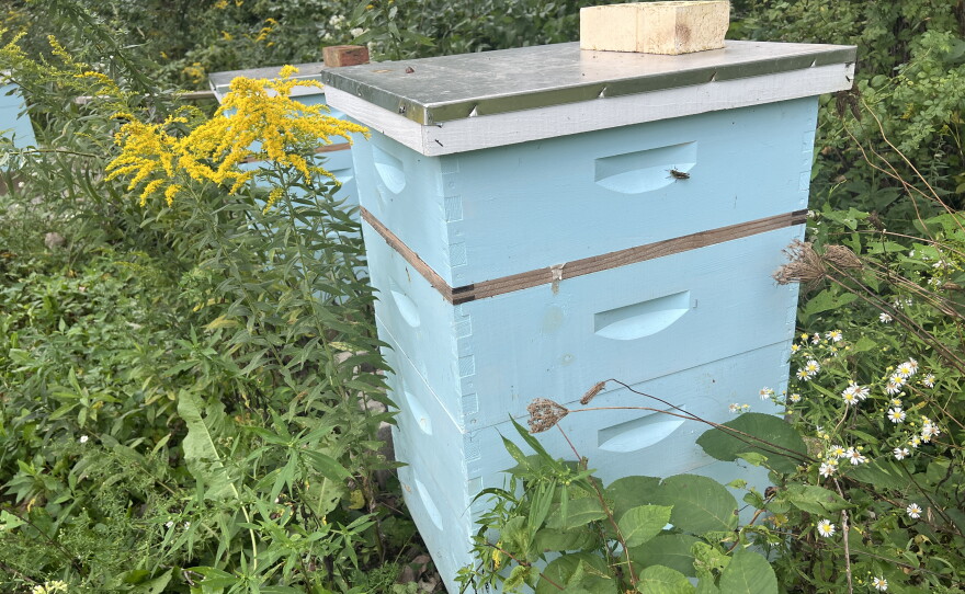 An up-close photo of a blue bee hive at Little Miami Farms