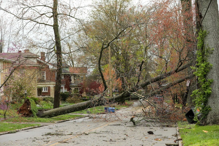 The City of Lexington is accepting free storm debris drop-offs at two sites through Sunday and perhaps longer.