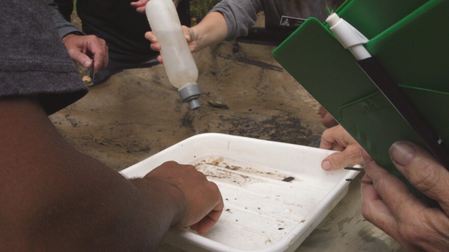 Volunteers gather around a tub filled with water, dirt and debris. The volunteers picked through the tub to find macroinvertebrates.